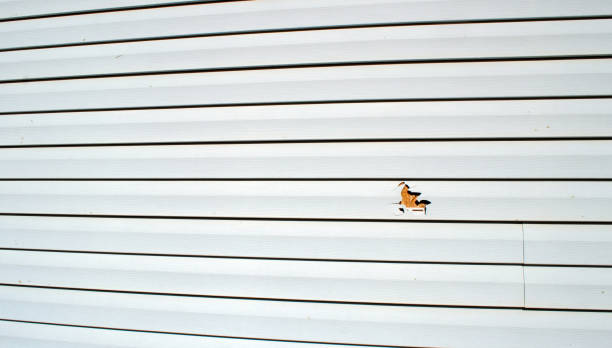 Best Custom Siding Design  in Dadeville, AL