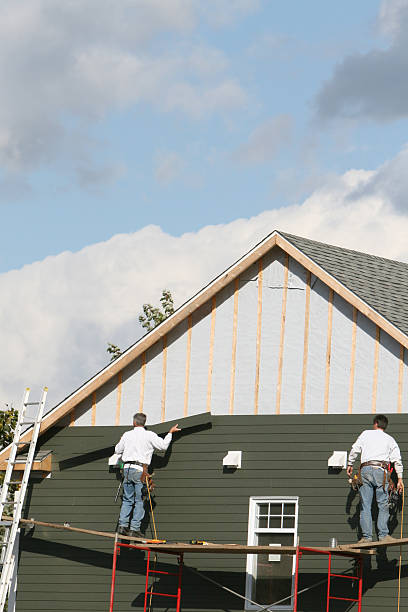 Best Siding Painting and Refinishing  in Dadeville, AL