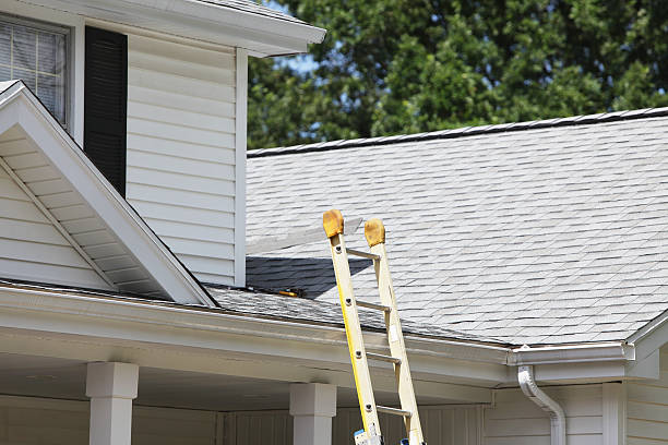 Best Siding Painting and Refinishing  in Dadeville, AL