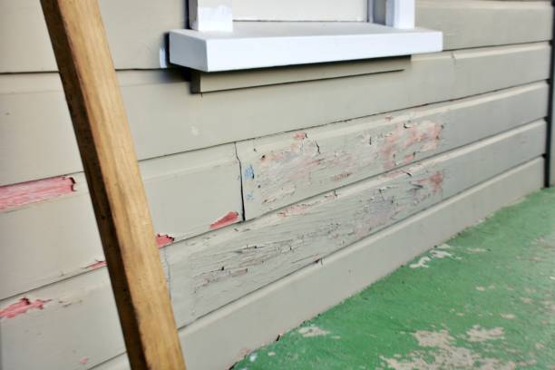 Best Siding Removal and Disposal  in Dadeville, AL